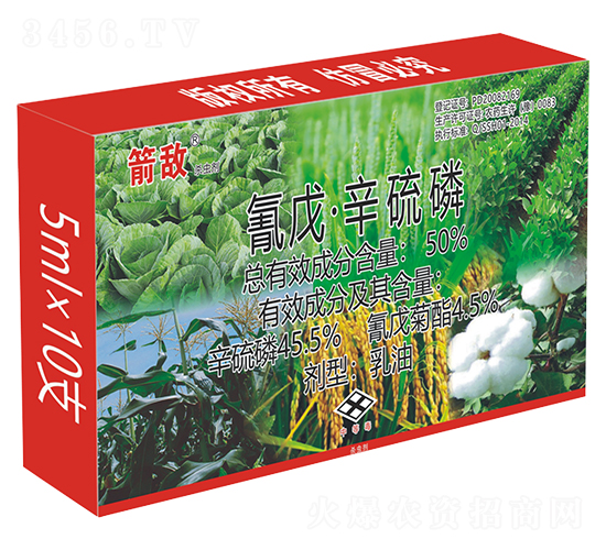 50%���졤����������-����-����