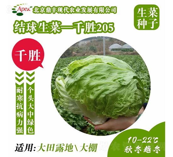 ǧ��205-���˷N��-���S�r(n��ng)�I(y��)