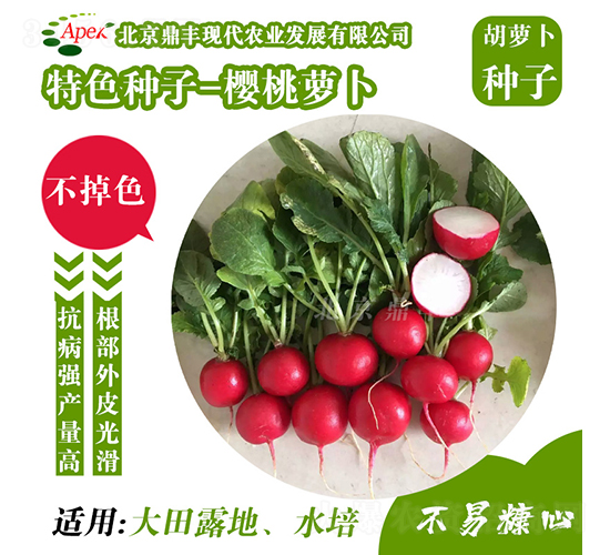 �����}��-���}���N��-���S�r(n��ng)�I(y��)