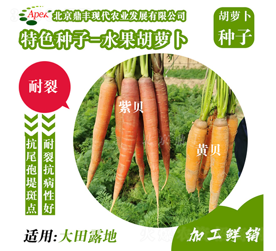 ˮ�����}��-���}���N��-���S�r�I(y��)