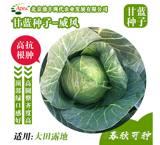 ���L166-���{�N��-���S�r(n��ng)�I(y��)