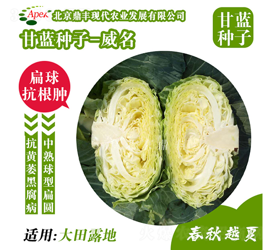 ����177-���{(l��n)�N��-���S�r(n��ng)�I(y��)