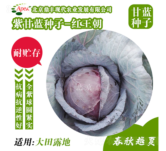 �t����-���{(l��n)�N��-���S�r(n��ng)�I(y��)