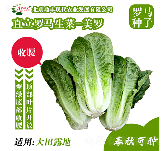 ���_-���˷N��-���S�r(n��ng)�I(y��)