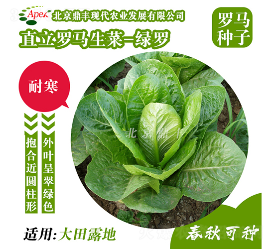 �G�_-���˷N��-���S�r(n��ng)�I(y��)