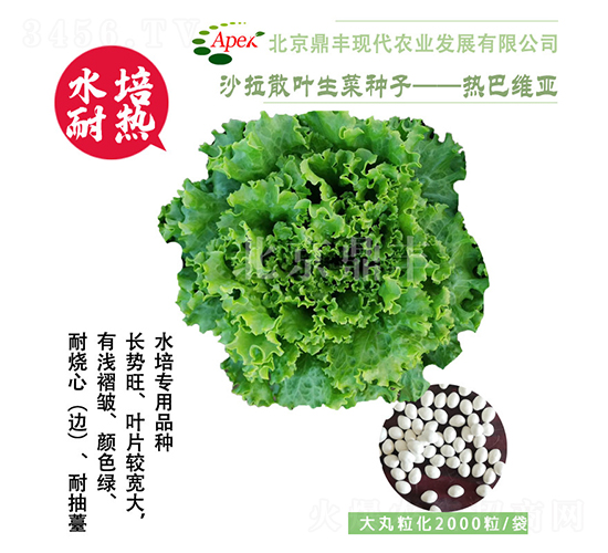 ��;S��-���˷N��-���S�r(n��ng)�I(y��)