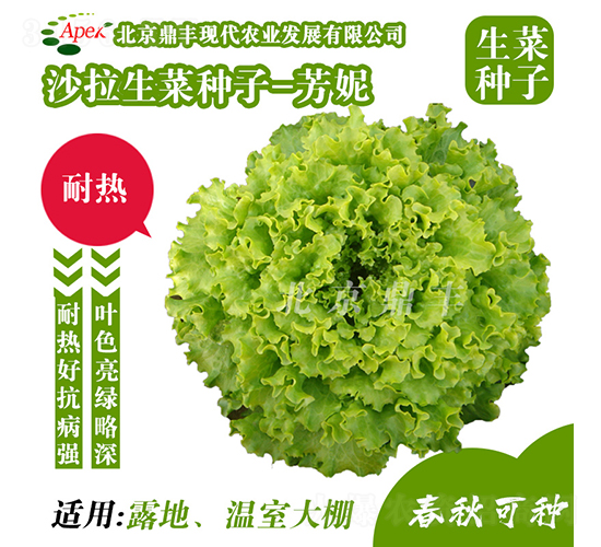 ����-���˷N��-���S�r(n��ng)�I(y��)