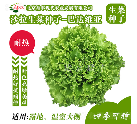 ���_(d��)�S��-���˷N��-���S�r(n��ng)�I(y��)