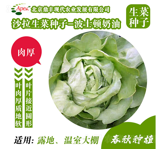 ��ʿ�D����-���˷N��-���S�r(n��ng)�I(y��)