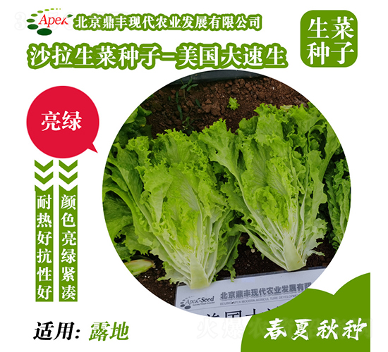 ����������-���˷N��-���S�r�I(y��)