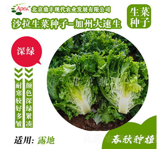 ���ݴ�����-���˷N��-���S�r(n��ng)�I(y��)