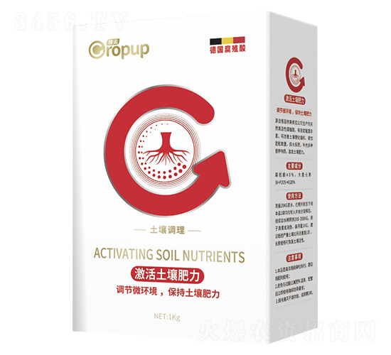 �����{(di��o)����~���-���Z-�¶�����