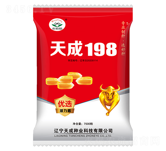 玉米種子-天成198-農(nóng)哈哈-天成種業(yè)