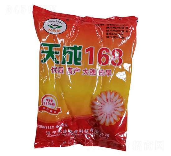 玉米種子-天成168-農哈哈-天成種業(yè)