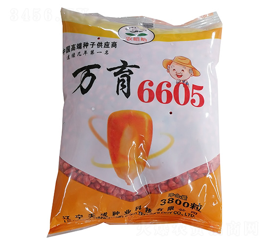 玉米種子-萬育6605-農(nóng)哈哈-天成種業(yè)