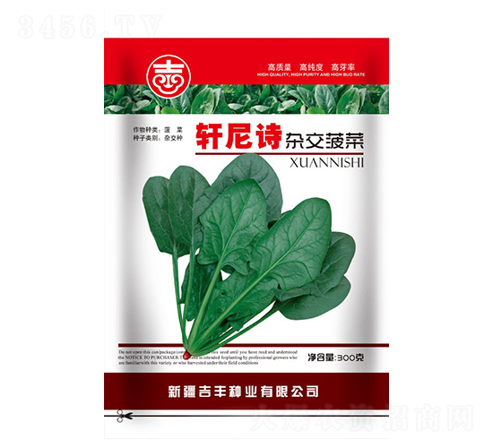 軒尼詩(shī)雜交菠菜-菠菜種子-吉豐種業(yè)