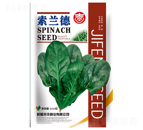 索蘭德-菠菜種子-吉豐種業(yè)