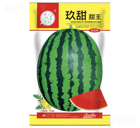 ��������-���ϷN��-���S�N�I(y��)