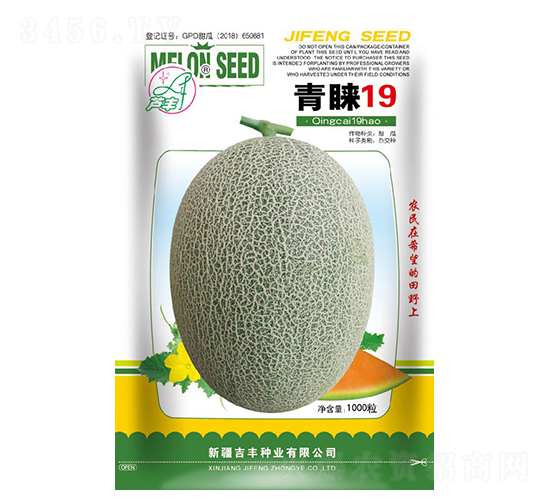 ��A19-��ϷN��-���S�N�I(y��)