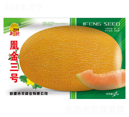 凰金三號-甜瓜種子-吉豐種業(yè)