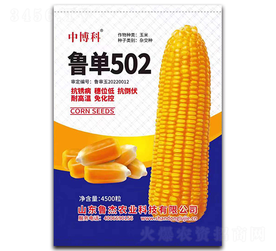 魯單502玉米種子-中博科-魯杰農(nóng)業(yè)