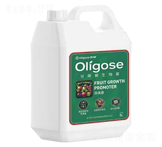 �����ߴT��Ĥ-�W����