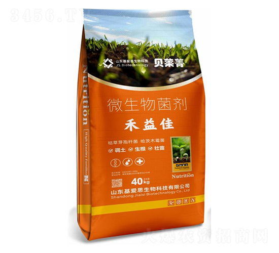 �����΢�������-����˼