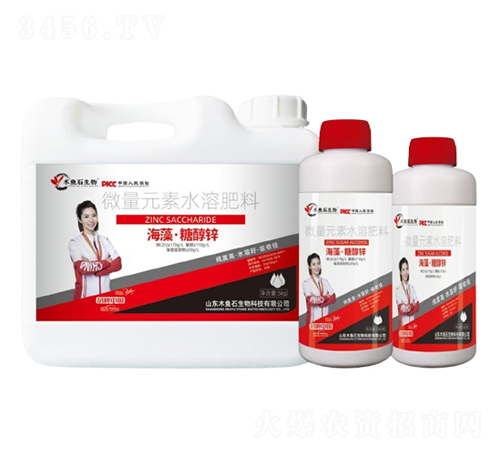 ���塤�Ǵ��\-ľ�~ʯ