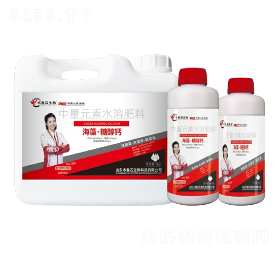 ���塤�Ǵ��}-ľ�~ʯ