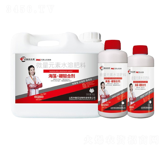 ���塤���f�τ�-ľ�~ʯ