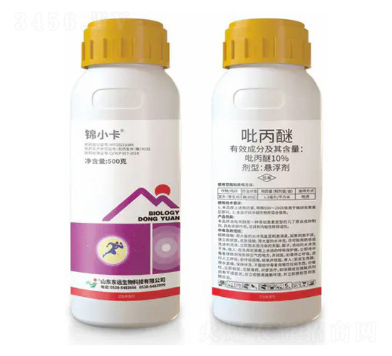 10%�����ёҸ���-�\С��-�|�h����