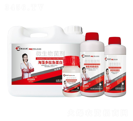 ��������~����-ľ�~ʯ