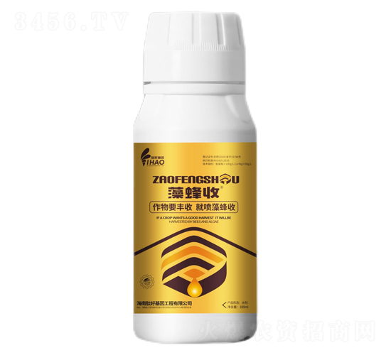 ���S��-�ĺû���