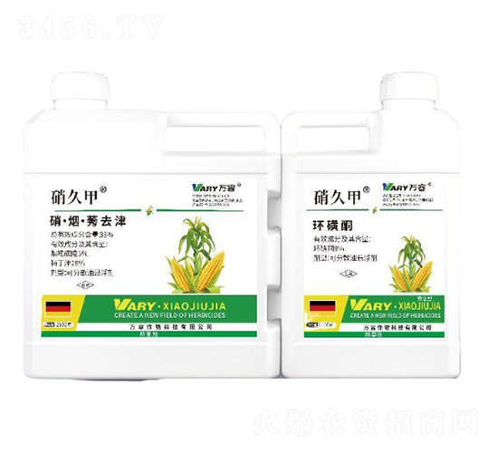 33%��������ݬȥ��+8%�h(hu��n)��ͪ-���ü�-�f(w��n)��