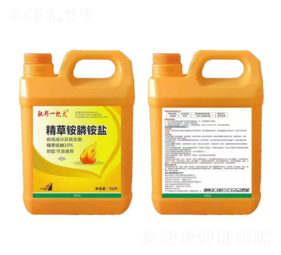 10%�����@��@�}5����-�Y��һ�ѻ�-�t̫�