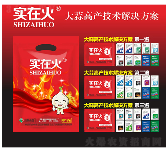大蒜高產(chǎn)技術(shù)解決方案-實(shí)在火-紅太陽(yáng)