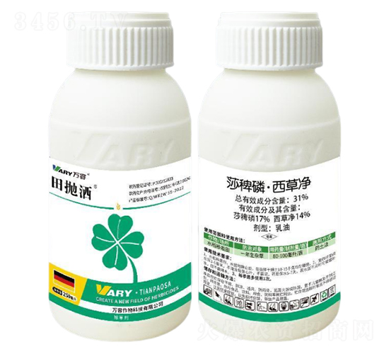 31%ɯ���ס����݃�250��-���-�f��