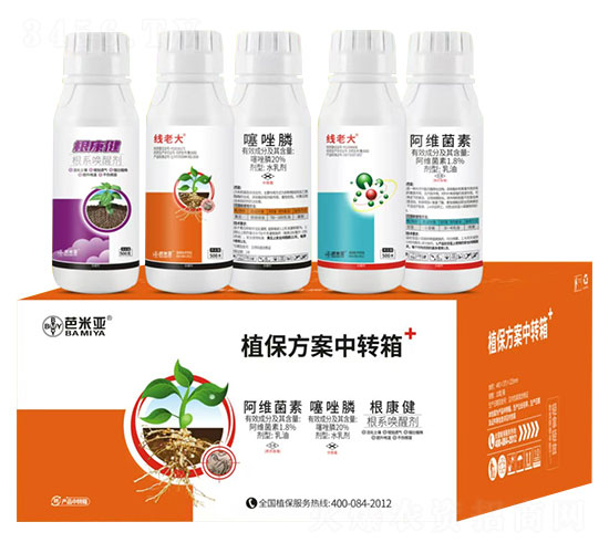 ���ϴ�ֲ������-���ׁ�