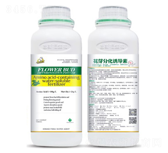 ��ѿ�ֻ��T��(d��o)��-��˹��