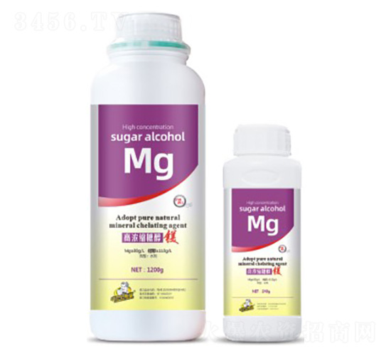 �ߝ�s�Ǵ��V-��˹��