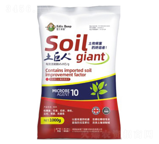 ������-�۶�����