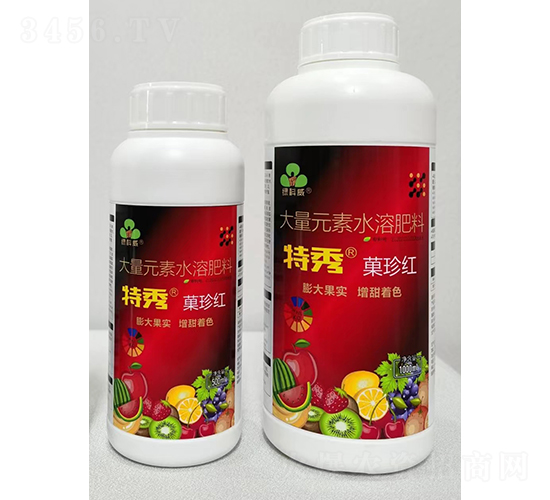 Ǒ��t-����-�G����