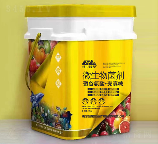 ΢�������-�۹Ȱ��ᡤ������-ʢ��¡��