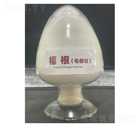 ����(ë����)-��������