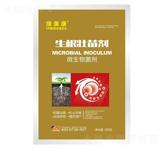 �������焩-΢�������-�G����-ؐ����