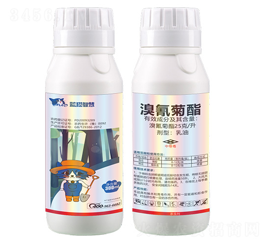 25���������������-�{؈�ǻ�