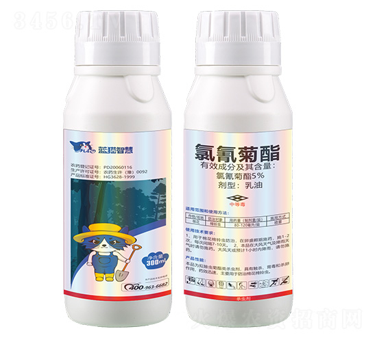 5%�����������-�{(l��n)؈�ǻ�