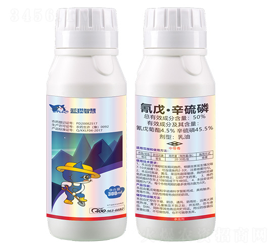 50%���졤����������-�{؈�ǻ�