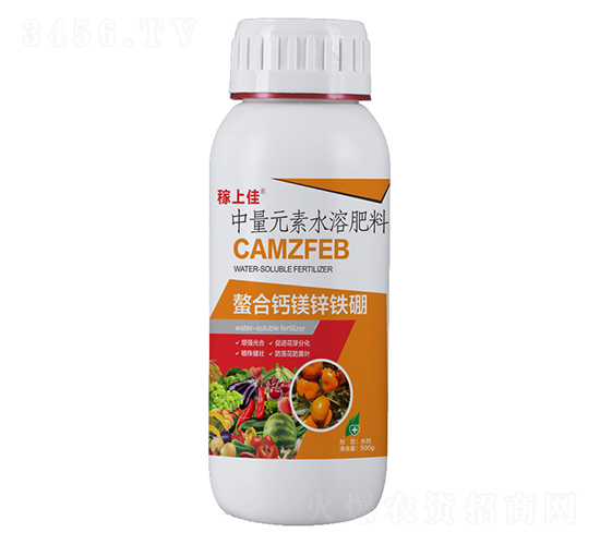 �����}�V�\�F��-���ϼ�-�����r(n��ng)�I(y��)