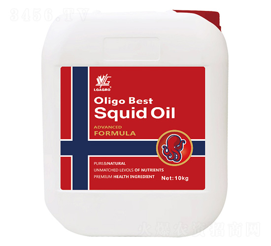 ī�~����-�P��Ԋ-�����_